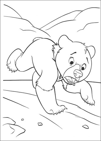 Little Bear Is Running  Coloring Page